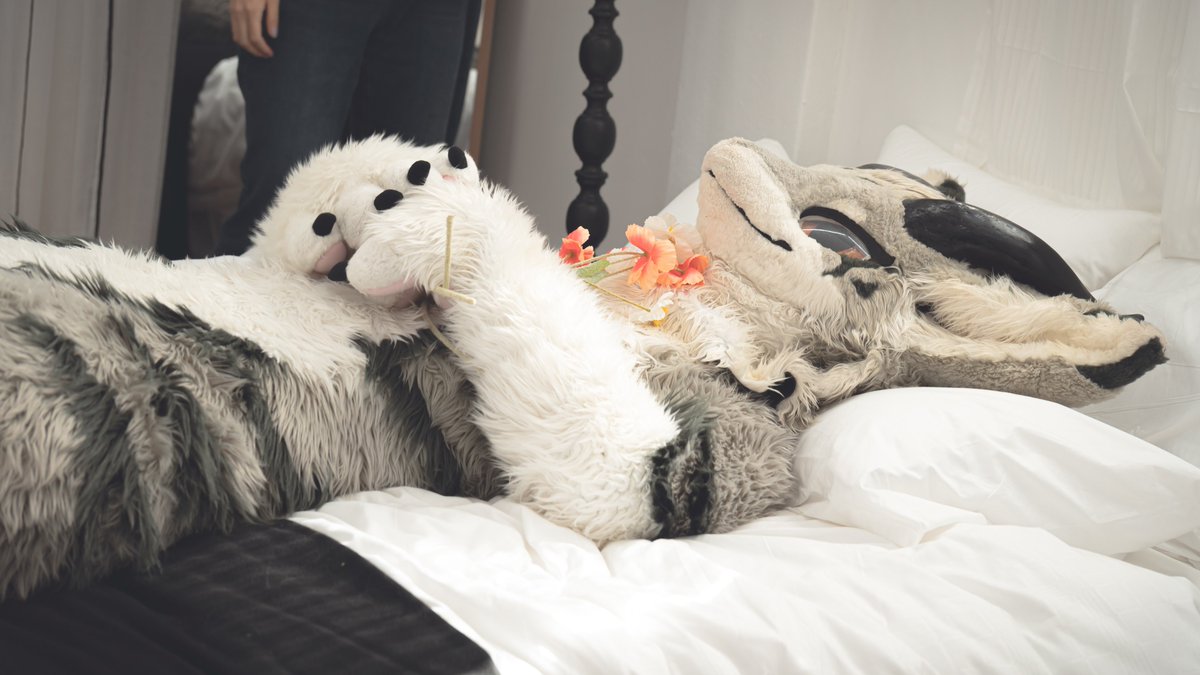 sata9759's tweet photo. #FursuitFriday
잠자는 숲속...은 아니고 그냥 잘 자는 용용이 https://t.co/Ut2HNnk8mh