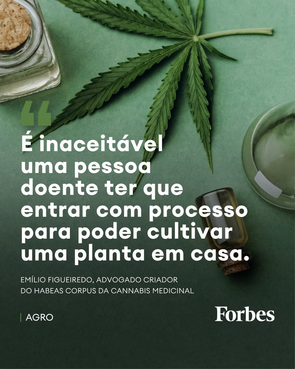 Forbes Brasil tweet media