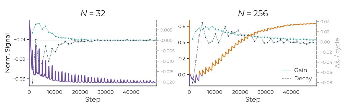 Two side-by-side line plots tracking a toy model over training steps (0 to ~48000). Left panel, narrow model N=32; right panel, wide model N=256. A purple sawtooth line (left axis, "Norm. Signal") spikes up at each rare-task batch then decays between batches. A teal "Gain" line and a dark dashed "Decay" line (right axis, change in signal per cycle) are also shown. For N=32, the purple signal settles to a low, steady sawtooth near a constant level, with gain and decay converging to roughly zero: rare-task updates are undone between batches (update-and-forget). For N=256, the purple signal climbs steeply and accumulates to a much higher level (~0.6), showing the wide model retains and builds on rare-task updates over time.