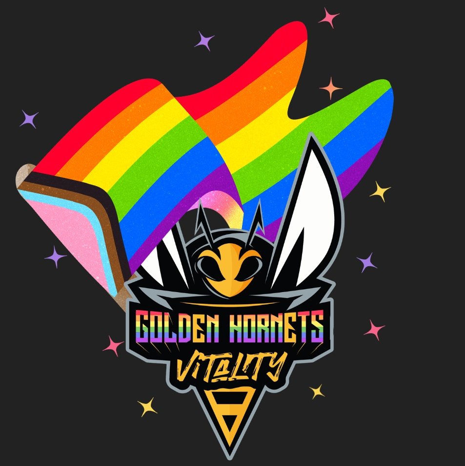 🐝 Golden Hornets 🐝 tweet media