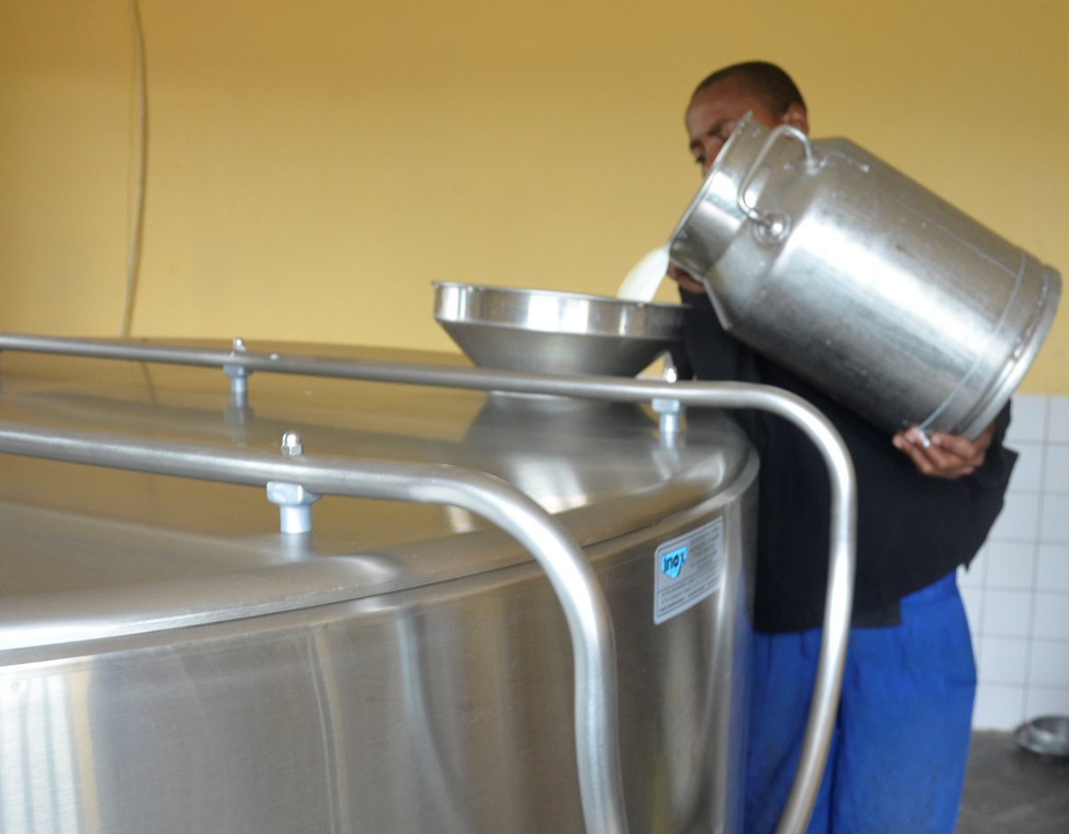 RwandaAgri's tweet photo. Happy World Milk Day 2026!!
Rwanda’s milk production reached 1,152,514MT in 2024/2025, highlighting the steady growth of the dairy sector and its contribution to nutrition, livelihoods, and economic development.
#WorldMilkDay2026  
#AgriUpdatesRw https://t.co/da5vVNmGAW
