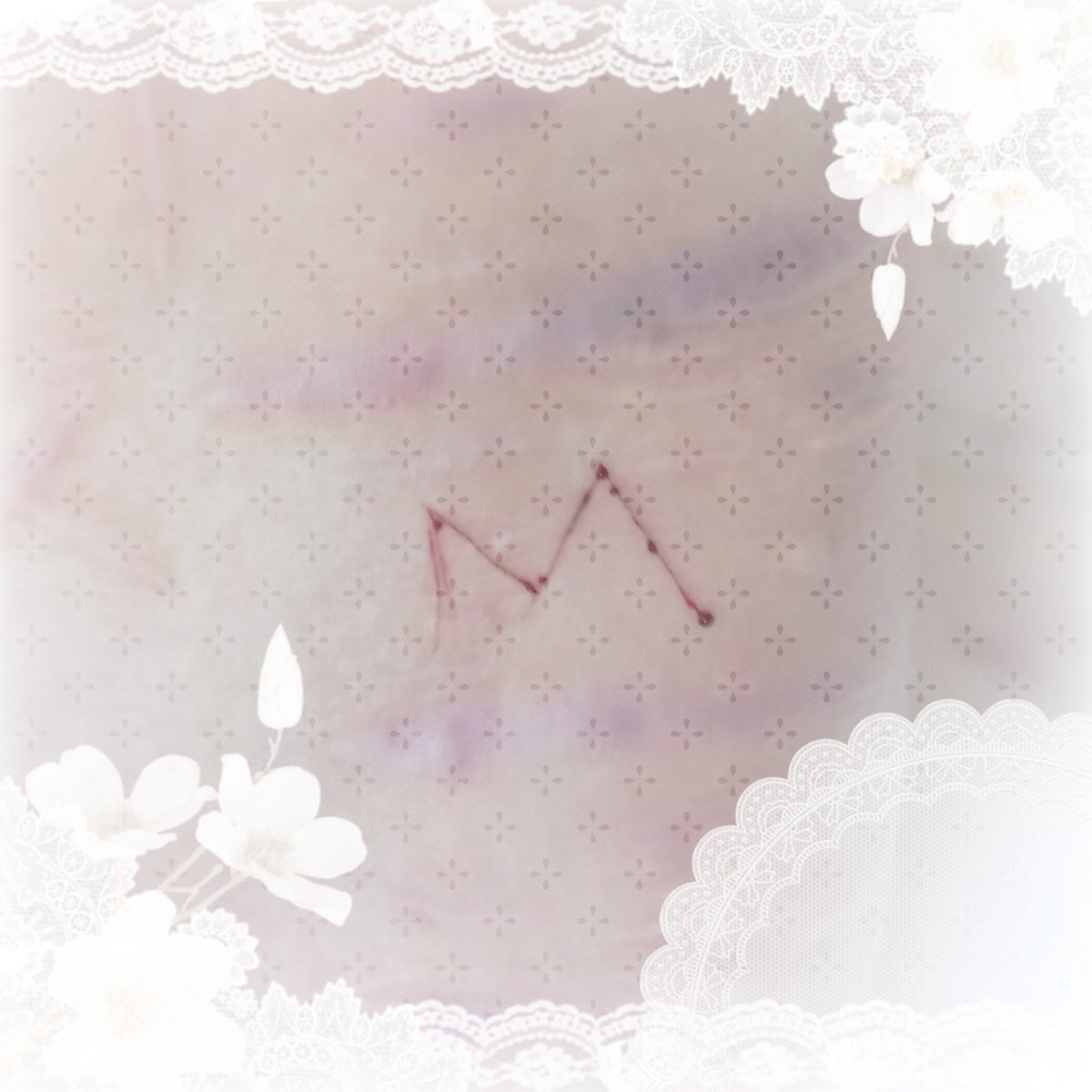 .𖥔 ݁ ˖╭ ┆Maxi ╰⊹ ࣪ tweet media