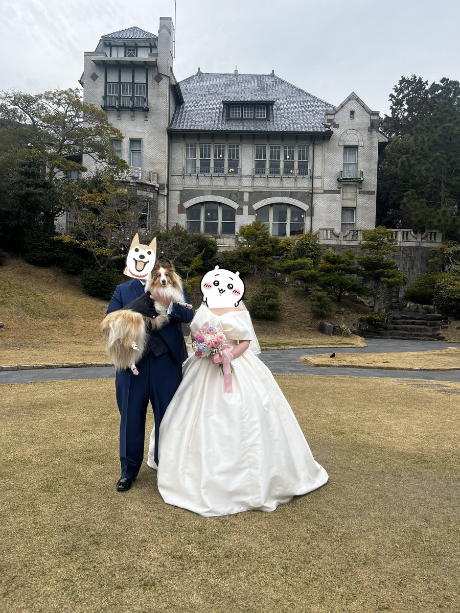 todoroke_udon's tweet photo. 今年はドッグリングという大役をこなしてくれました！いつまで一緒にいようね！
時間ギリギリでした！泣

#シェルティの日
#シェルティの日2026 https://t.co/CiYl4daE0p