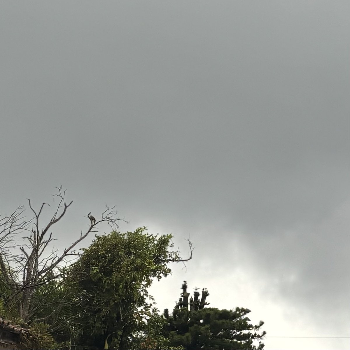 iammajof's tweet photo. it’s June gloom season 🌫️🩵 https://t.co/K06ZBU8x7R