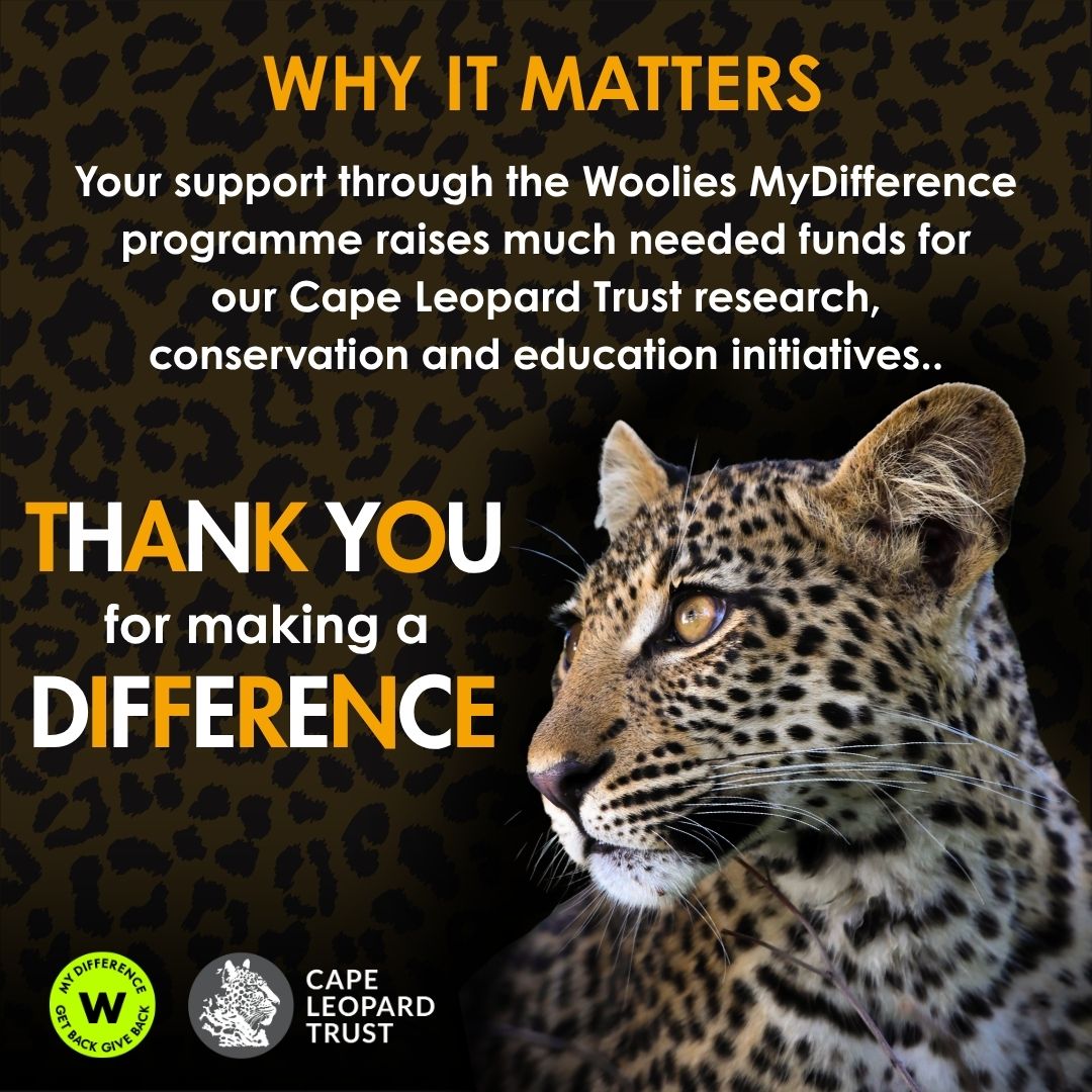 CapeLeopardTrst's tweet photo. Did you know that there is an easy and free way to support the @CapeLeopardTrst through your grocery spend at Woolworths? Download the Woolies app, join MyDifference, choose us as your cause and scan your virtual MyDiffference card or any linked Woolies card every time you buy! https://t.co/Tclz42Agy4