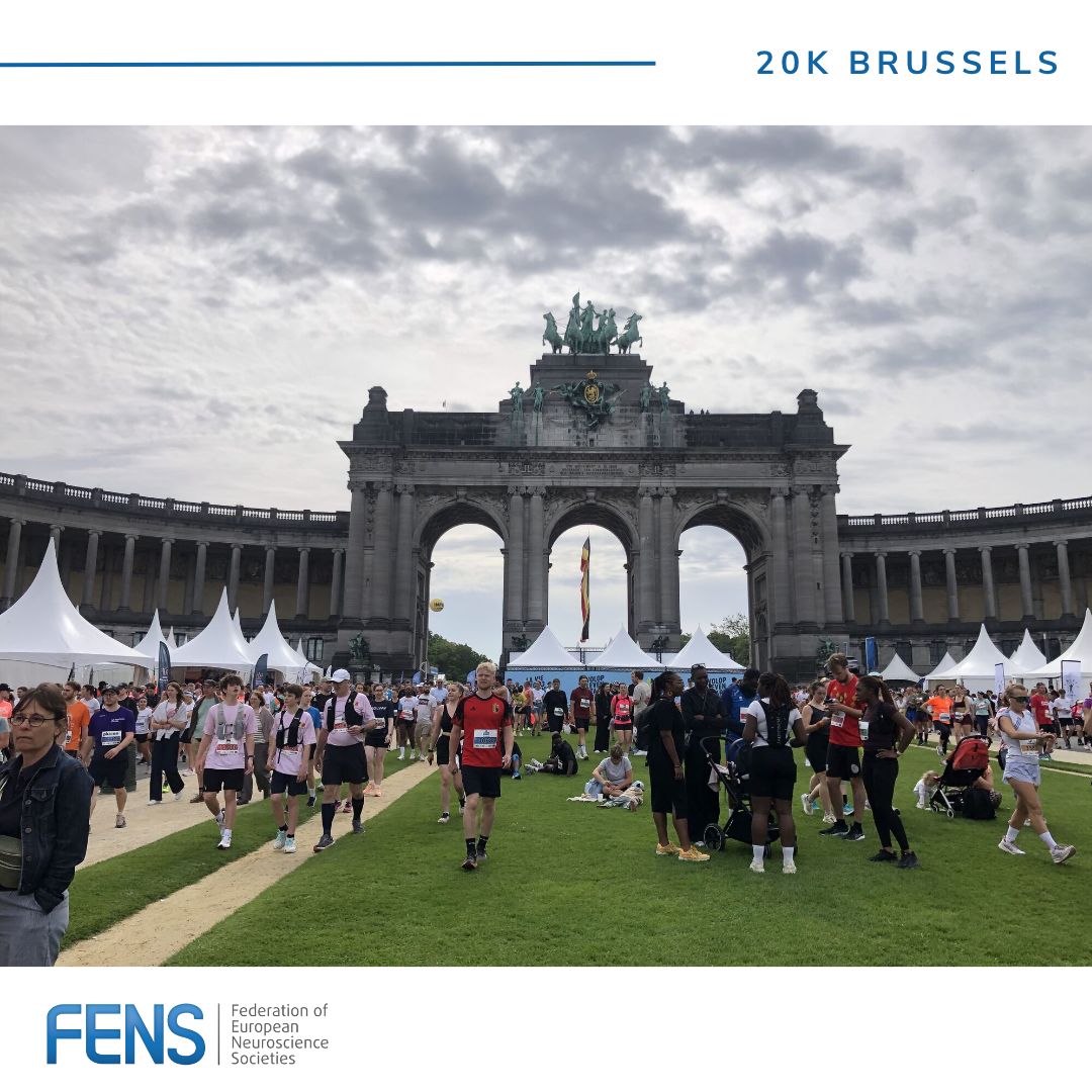 FENSorg's tweet photo. 🏃‍♀️ FENS at the Brussels 20K

Congratulations to our #FENSTeam runners for completing the Brussels 20K this Sunday and showing their support for neuroscience along the way! 🧠 https://t.co/P3dL7aToWN
