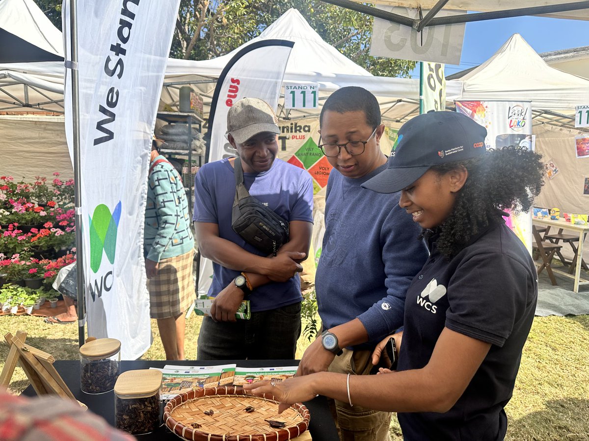 WCS_Mada's tweet photo. First time at the Livestock &amp; Animal Production Fair in Antananarivo! Proud to showcase community conservation products. 🌿🐝 #FEPA2026 #RECOS #SWMProgram https://t.co/3APm61p6xq