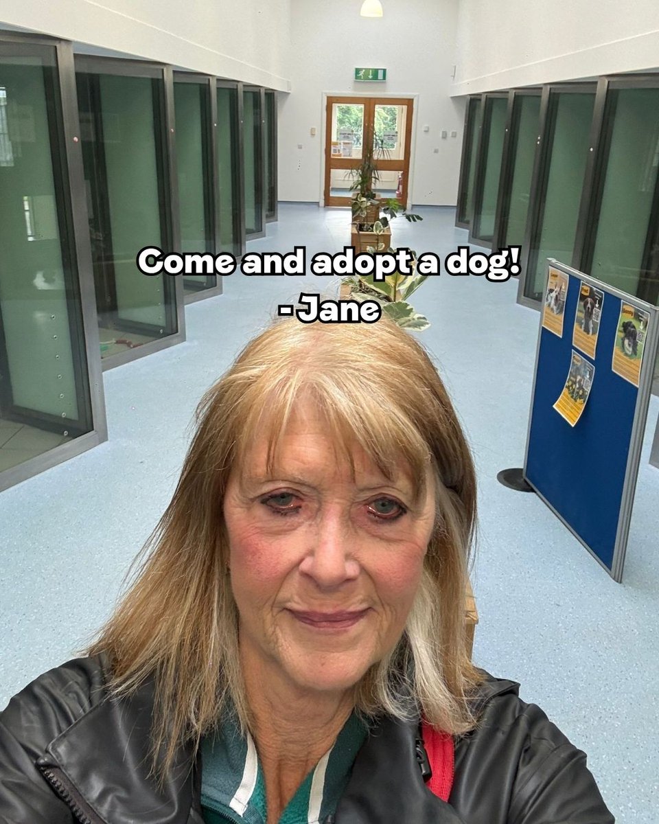 DogsTrust's tweet photo. How did Jane do? 🐶
It only seemed right to have one of our amazing volunteers take over our socials for Volunteers Week 💛 We couldn't do what we do without them. A huge thank you to Jane and every single volunteer at Dogs Trust - who wants to take over next? https://t.co/9wsEP16kkD
