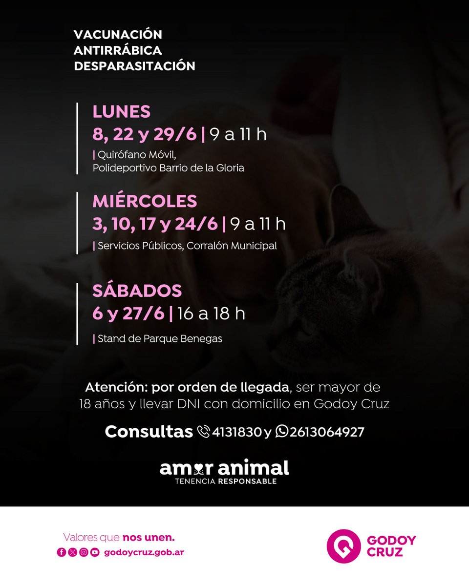 MuniGodoyCruz's tweet photo. Llega el cronograma de vacunación y desparasitación de JUNIO 🐶🐱

Queremos que tus mascotas crezcan sanas y fuertes. Por eso, antes de acercarte al operativo, te informamos edades y requisitos a tener en cuenta:

🔹 Vacunación antirrábica: para perros y gatos de 4 meses en adelante.
🔹 Desparasitación interna (pastillas): para mascotas de hasta 4 meses.
🔹 Desparasitación externa (pipeta): a partir de los 45 días de vida.

Cuidar a nuestros animales es parte de ser una comunidad responsable ❤️
ℹ️ Toda la información que necesitás la encontrás acá: https://t.co/0Nu0JvDyFq