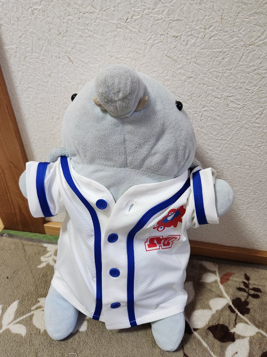 t_explosion's tweet photo. 日付替わったけど新大阪新幹線ホームストアの戦利品＾＾
ずっっっっと欲しかったプリンくんやっとお迎えできてホクホク＾＾

そんで先週水曜日に阪神百貨店で見かけたベースボールシャツ。
青が欲しかったけど売り切れてた…｡･ﾟ･(ﾉД`)･ﾟ･｡
でも白も似合うよパオくん！ https://t.co/Fr46ZHPEAM