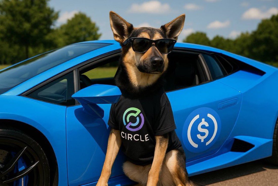 rxcode_'s tweet photo. 1 $USDC = 1 $AROS https://t.co/Kb2N73hqrm