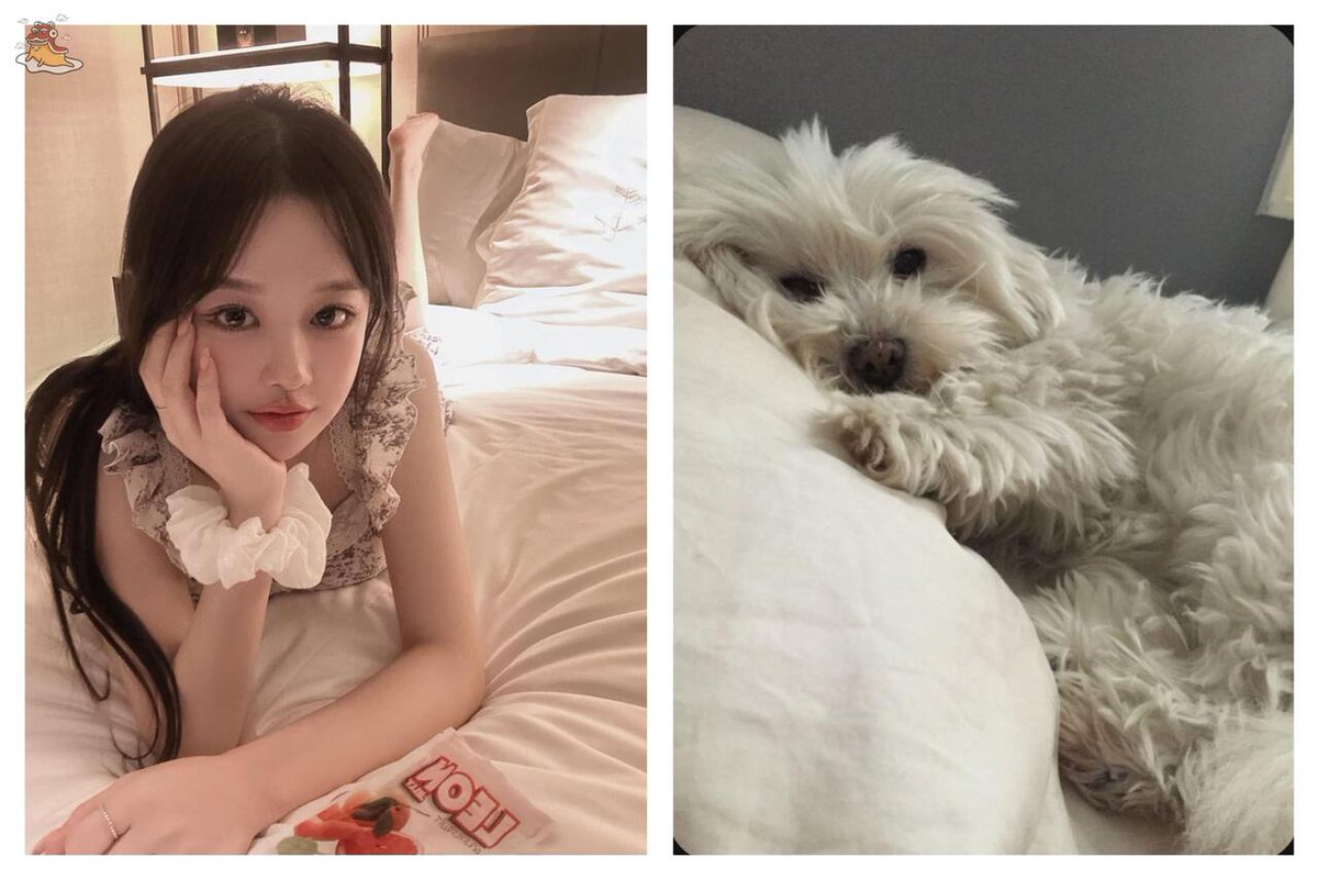 SOC-IE ๐ หโฝห.โ tweet media
