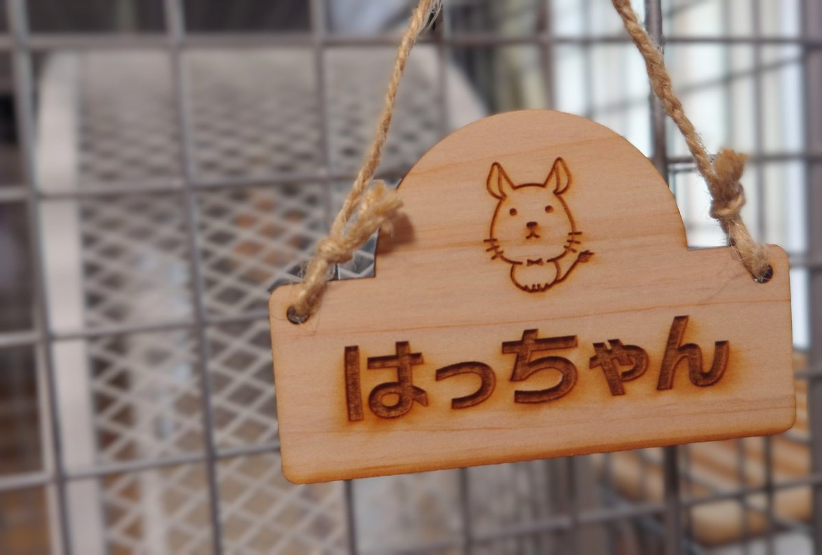 ta0kka's tweet photo. 月が変わってしまいましたが…5月はアグーチ群団のお誕生月✨️素敵な記念品を頂きました😊
@AnotherSumickey さん、
@glamochan2nd さんありがとう💕
さっそく飾ったり、詰めたり、読み聞かせしたりしましたよ！写っていませんが瓶の中にぱやぱやのはち毛が入っています💦 https://t.co/kegz6mstK9