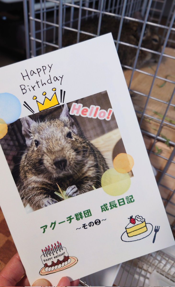 ta0kka's tweet photo. 月が変わってしまいましたが…5月はアグーチ群団のお誕生月✨️素敵な記念品を頂きました😊
@AnotherSumickey さん、
@glamochan2nd さんありがとう💕
さっそく飾ったり、詰めたり、読み聞かせしたりしましたよ！写っていませんが瓶の中にぱやぱやのはち毛が入っています💦 https://t.co/kegz6mstK9
