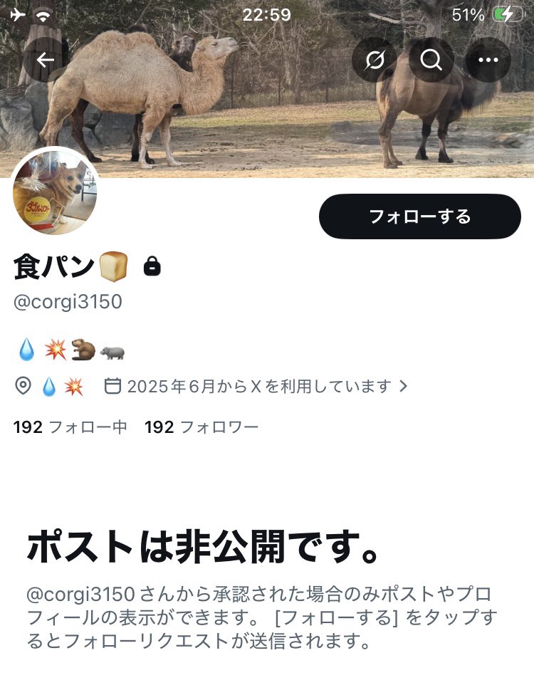 chaban_desu's tweet photo. おーい@cqsd17 25歳
この数分間で急にFF60人もブロ解＋ユーザー名変更してどうした〜〜⁉️

効きすぎたとはいえいくらなんでも言動が女々しいすぎるぞ‼️
ホラ吹きおもんな玉無しニート‼️

貴重なエネルギーをここまでSNSとノマに割ける茶番ライフが羨ましいンニね👍

#疑心暗鬼
#効きすぎ注意報⚠️ https://t.co/p95sfkds4z