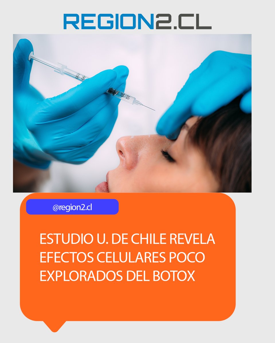 region2cl's tweet photo. Estudio U. de Chile revela efectos celulares poco explorados del Botox

➡️https://t.co/YzBQzg1uz7⬅️

#Antofagasta #Calama #Tocopilla #Taltal #Mejillones #Maríaelena #Baquedano #Sierragorda #Sanpedrodeatacama #Chile https://t.co/Ctg3Kw7GW6
