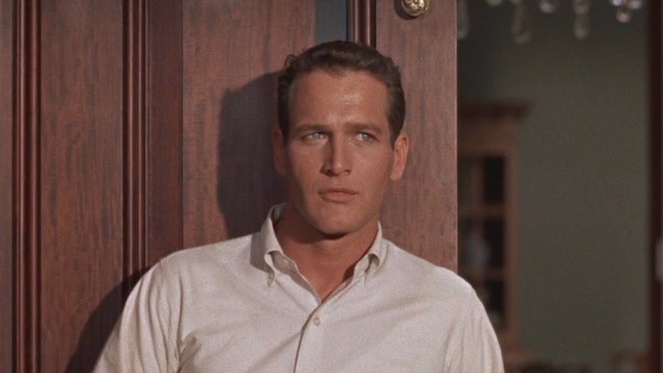 pacinocrave's tweet photo. happy pride month to paul newman in cat on a hot tin roof https://t.co/XWXeEhcdWG