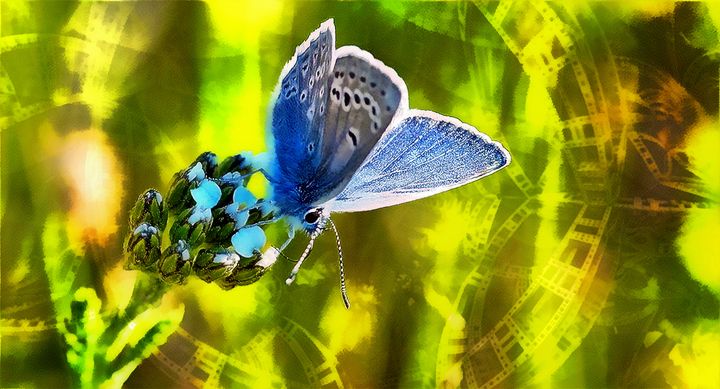 karl_struss's tweet photo. Art of the Day! "BE the Effect". Buy at: https://t.co/l5WZrzuBHZ https://t.co/Qk2D1GXsXT