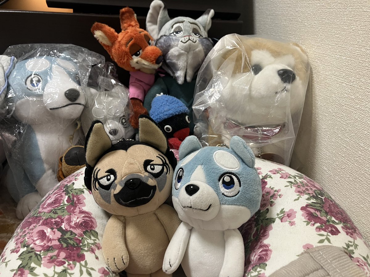 Kentaro2544's tweet photo. 家に着いたよん
11日間付き添いありがとね2匹とも🐕🐕 https://t.co/W0TcdI7J6I