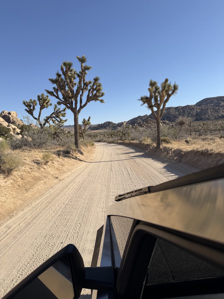 TeslaOneClub's tweet photo. Joshua Tree views from the sharpest angle. 📐 @cybertruck https://t.co/ykMDMyzOk5