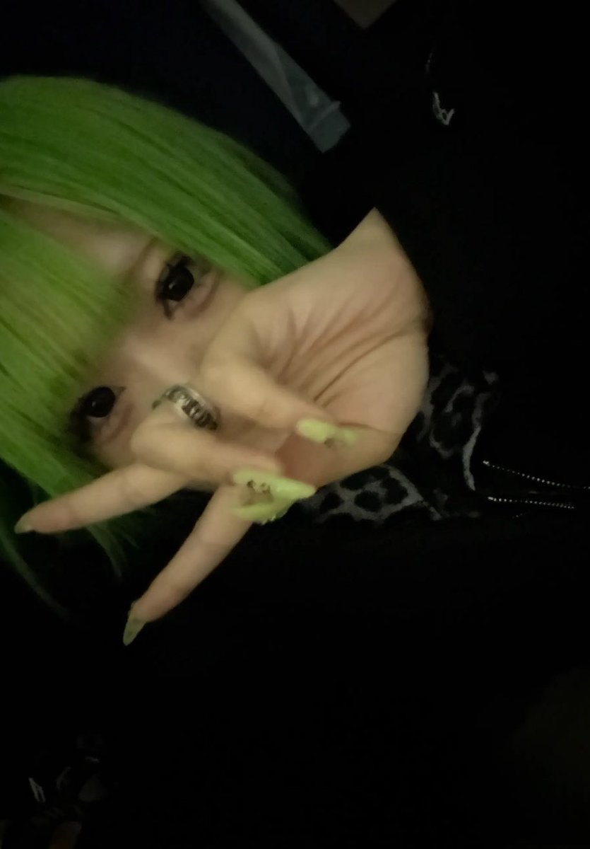 猫派 tweet media