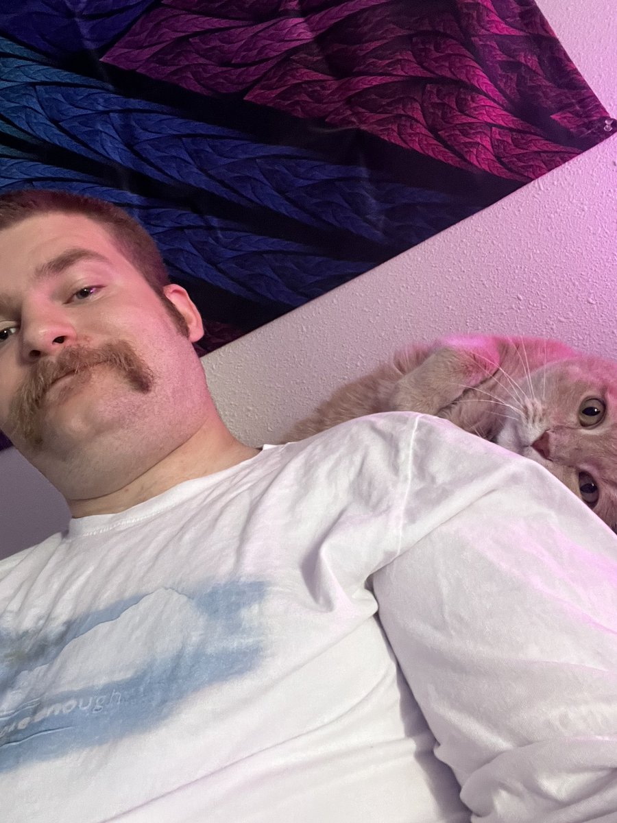b33fb0i's tweet photo. Cat cuddles before worlds of fun is a must! 😸 https://t.co/b6FnMSvhcS