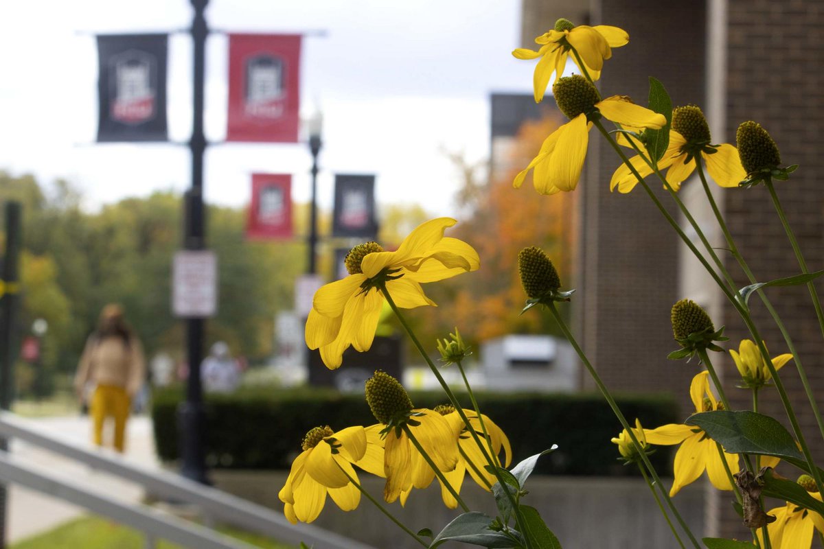 NIUlive's tweet photo. Know someone thinking about NIU? 🤔 Choose from the many ways #FutureHuskies can explore our campus and learn about financial aid, student life, campus resources, academic programs, advising and more. 

📍➡️ https://t.co/Yp41op7Gpa https://t.co/SFy5Oljxtu