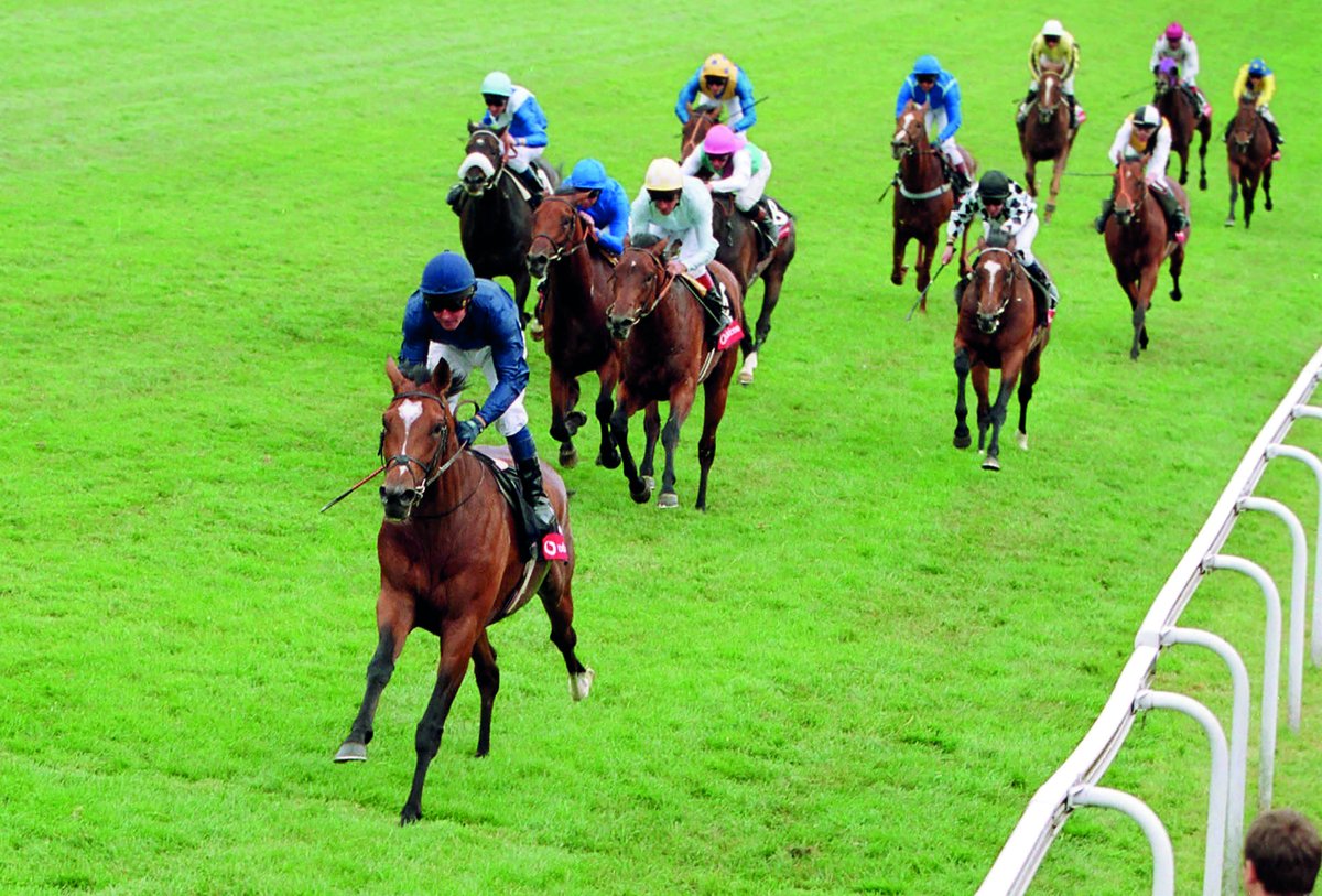 rpbloodstock's tweet photo. 🏆 The house that Galileo built - how the ultimate Derby kingmaker reshaped Britain's greatest race

Tom Peacock looks at the impact the Derby winner has made on the Classic a quarter of a century on from his own triumph

Read with Racing Post+ 👉 https://t.co/hGdMeiw15Q https://t.co/Fl18CeEvWb
