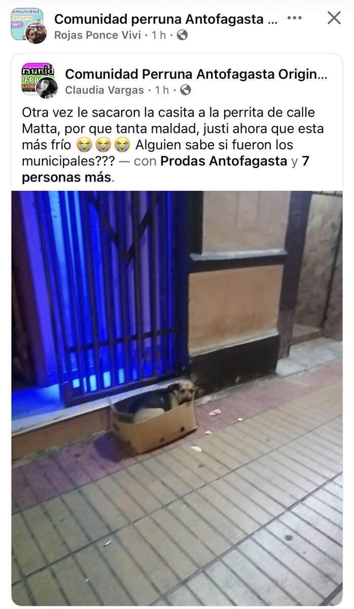 zig1758's tweet photo. 🆘🆘🆘🆘🆘🆘🆘🆘🆘🆘🆘🆘 #Antofagasta https://t.co/L6L4ElKIBp