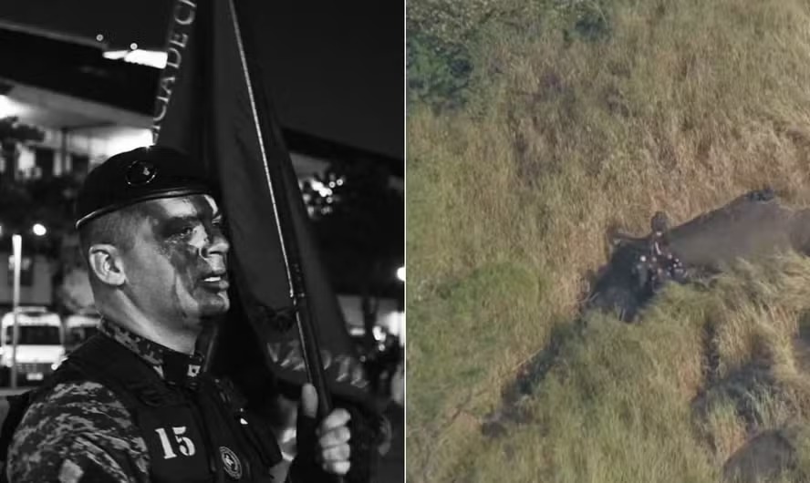 ๐๐๐๐ ๐ข๐๐ ๐ฅ๐๐ข tweet media