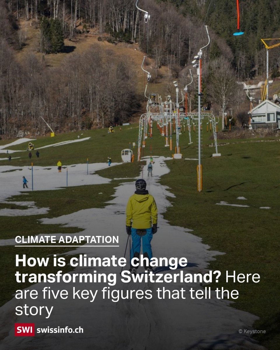 swissinfo_en's tweet photo. Switzerland is warming at a rate around 2.2 times faster than the global average, according to a new report by the Swiss Academy of Natural Sciences (SCNAT). 

What impacts does this have on everyday life and on the country’s landscape? 👉https://t.co/5MU5JZwwFN https://t.co/jlrIas76Kf
