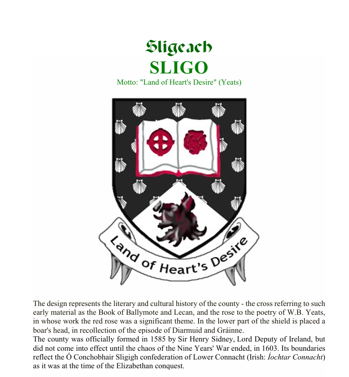 KeithMillsD7's tweet photo. Third of my #countyflags and I'm off to Sligo. This crest has a text banner which is a no-go for vexillologists so I've gone for a very simple model. https://t.co/t1S8jR0D7Q