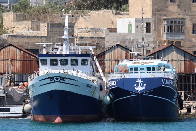 Shipguru's tweet photo. #peschereccio #Mazarese #SOCRATE #moored at #grandharbourmalta - 30.05.2026 - https://t.co/nfgboxc3g3 - NO PHOTOS can be used or manipulated without our permission @EAPO_EUfishPOs @EufaFisheries @FAOfish @EFCA_EU @UN_FAO_GFCM https://t.co/tvJrvMHKK5