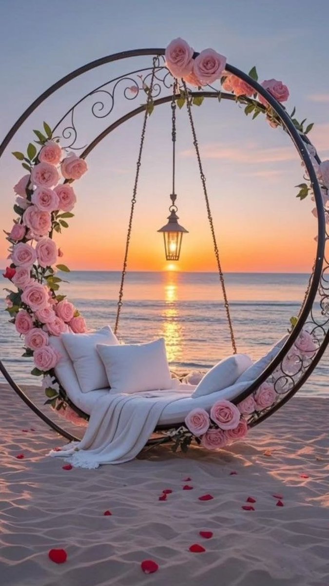 VieNatureSavoir's tweet photo. Beautiful evening🩷💫 https://t.co/LxxGj6Qd7I