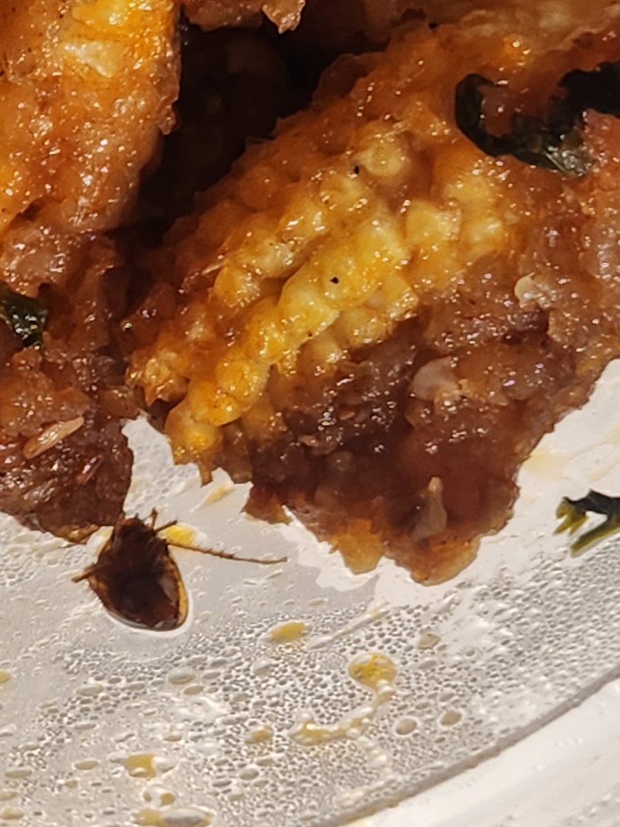 sageofwill's tweet photo. Cockroah party collaboration with lulu mall's baby corn Manchurian.

Tasty veg food with cockroach protein in Lulu mall Bengaluru

@LuLu_Mall @bengaluru https://t.co/qYYLS4u3KK
