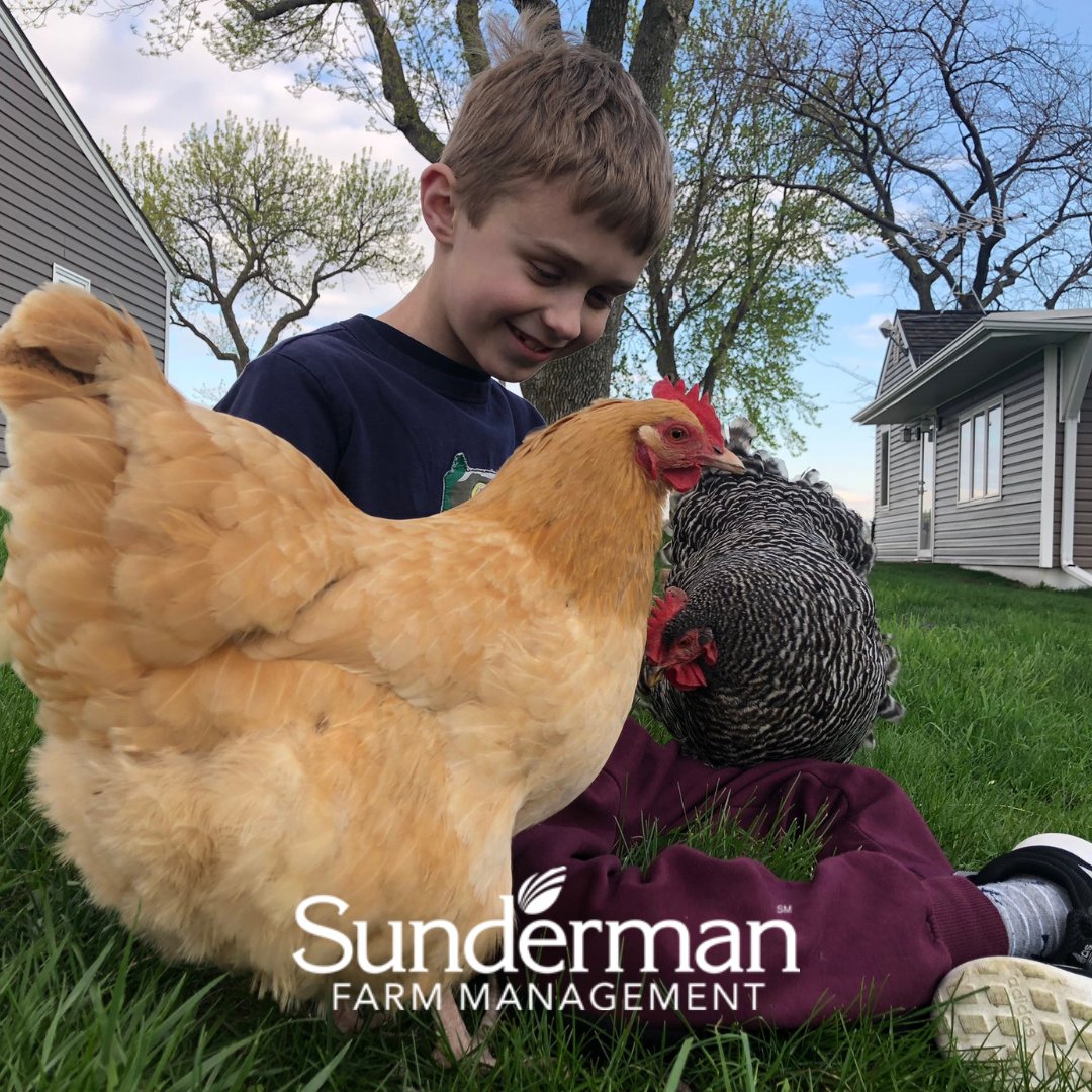 Sundermanfarm's tweet photo. Responsibility, patience, hard work, caring for animals, learning where food comes from, those lessons stick for a lifetime. Moments like this are part of what makes rural communities and farm families so special.

#FarmLife #IowaAgriculture #AgLife #FarmFamilies #MidwestAg #SundermanFarmManagementCo