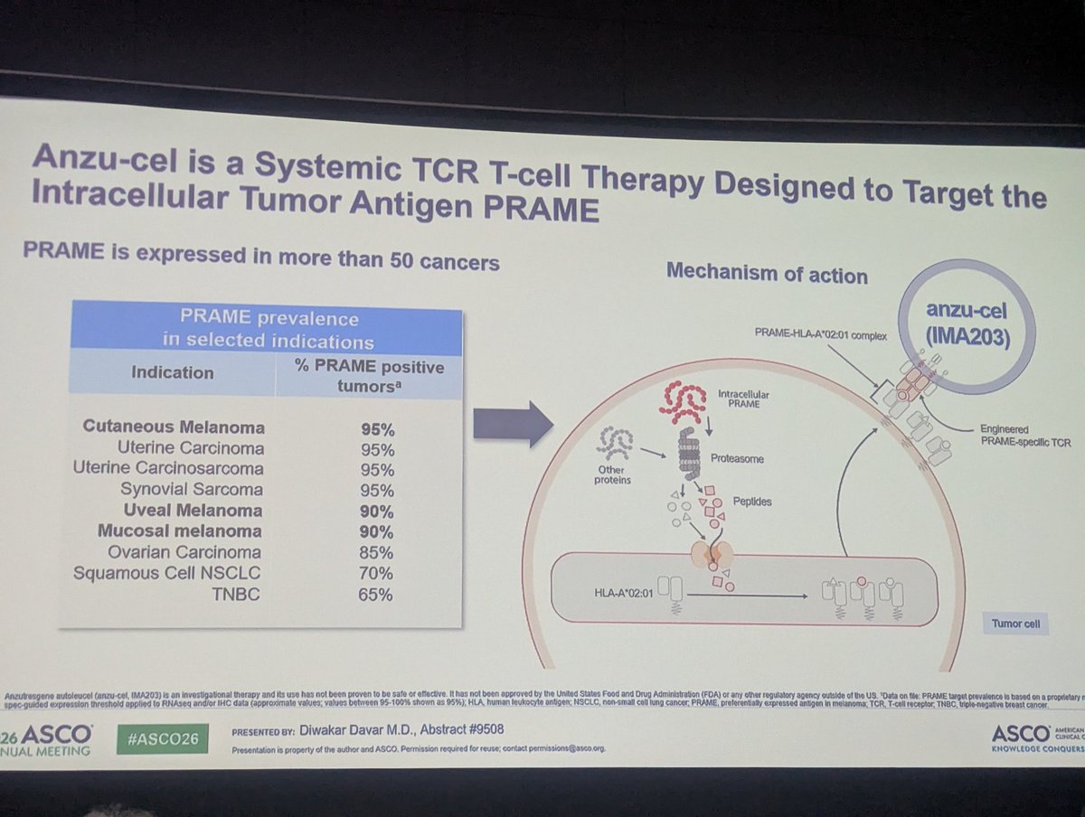 RonenStoff's tweet photo. Concluding the excellent melanoma abstract session are the updated results of the IMA203 PRAME TCR T data. Promising durable responses and slower progression kinetics in those who progress. Another promising agent in the making for both CM and UM #ASCO26 @diwakardavar @MRFCureOM https://t.co/RFz6ZFYxSV