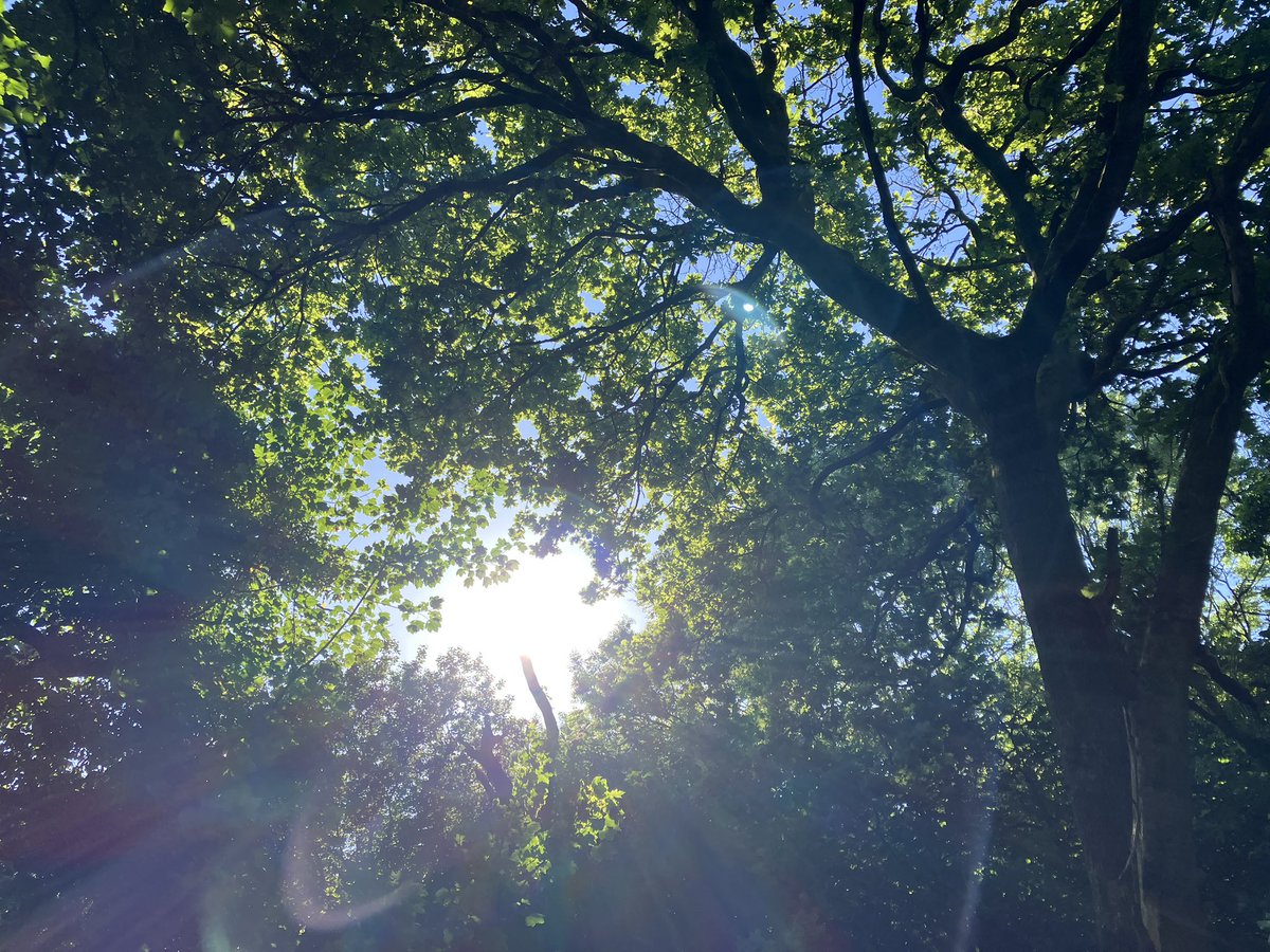 eveningxp's tweet photo. https://t.co/kZT2fj49Om