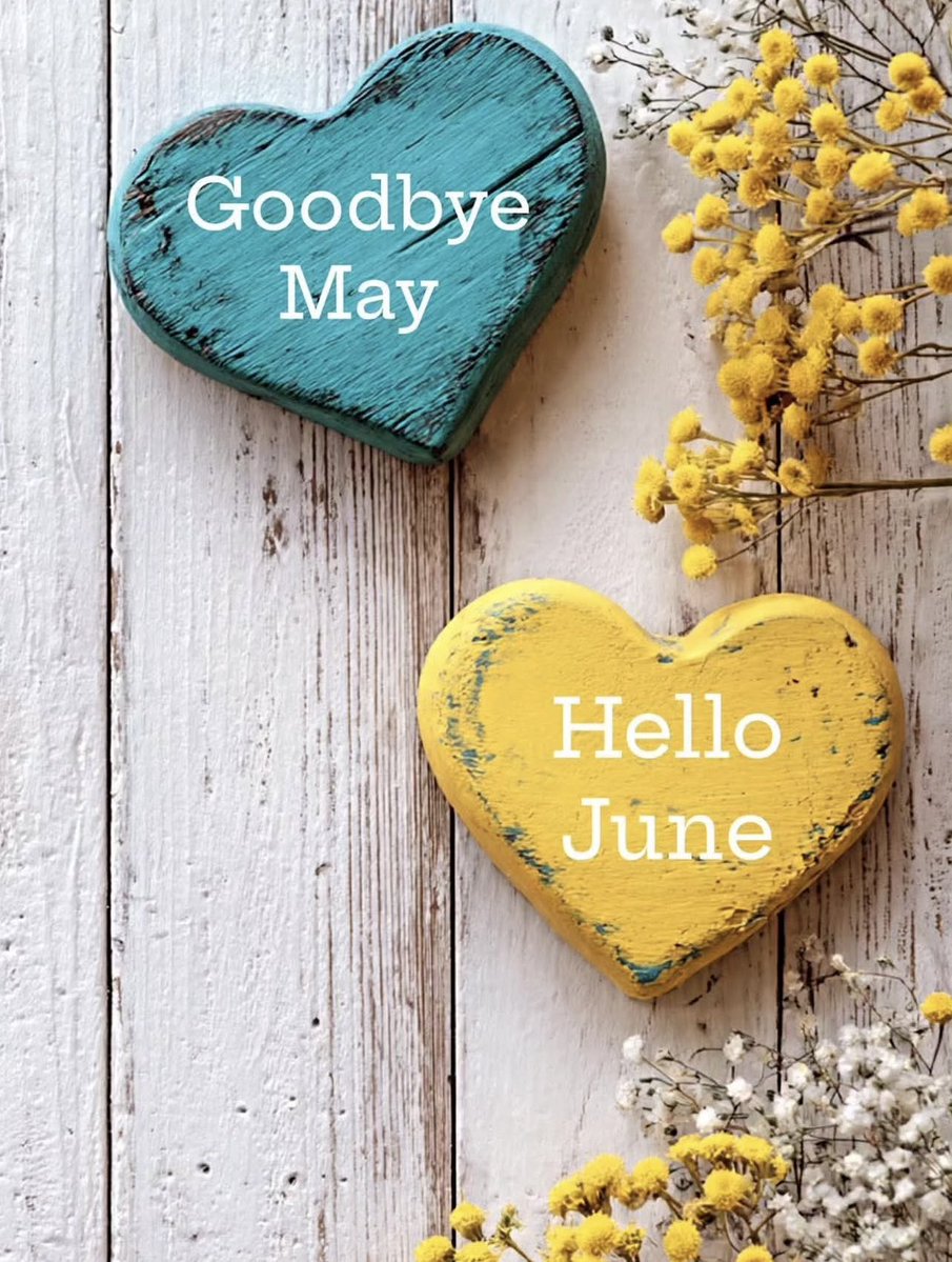 TweetyGeorgette's tweet photo. Hope YOU have a magical June 1st and a fantastic Monday!! -Take a moment to appreciate the beauty around you and 
enjoy what brings you joy 🥹 
💐 ☀️🌻🌺🌼🌸🌻🌷🌹🦋🐝📚🎶.

#inheritedpropertyspecialist

#specialistininheritedproperty https://t.co/rQkAEmwYja