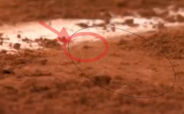 ZeCahill's tweet photo. @dbdegn @bgtennisnation It was in, you could see it in the TV, the gap between the ball and the line stoped at the mark. Close, but the Hawkeye has a 2mm margin of error and the unofficial news simulation probably has even more. The umpire saw no gap because there wasn´t, Rudd didn´t even complain. https://t.co/PrgZS3uIhf