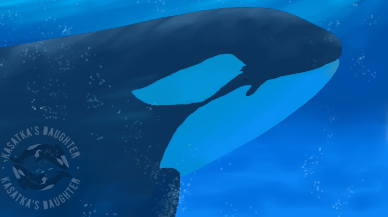 KasatkaD19822's tweet photo. Nakoa Monday

#art #digitalart #orca #animalartist #underwater #whale #dolphin https://t.co/K281gZ9udp