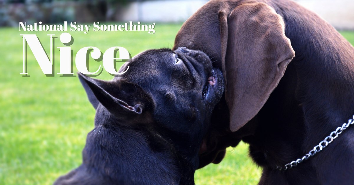 ShopMidnite's tweet photo. On National #SaySomethingNiceDay, we have an opportunity to counteract bullying and the lack of common courtesy that is growing among people in today’s world. Hopefully, the practice of saying something nice today will continue into all tomorrows.
https://t.co/PdEfvLhg8S https://t.co/dIilbIQ8vA