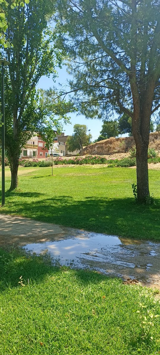Mercede15096402's tweet photo. Paseo casi todas las mañanas por el parque Calamón ,hay una nueva averia d agua, la otra lleva tiempo ya,comentado con el encargado me dice que lo saben, pero que la máquina excavadora del @aytodebadajoz está estropeada @medambientebjz
@RubenGaleaGil para cuando una solución https://t.co/WbIoxEO1AT