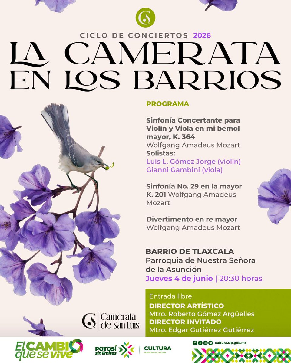 seculturaslp's tweet photo. 🎻✨ Continúa «La Camerata en los Barrios 2026» con una noche dedicada a Mozart en el Barrio de Tlaxcala
La Camerata de San Luis presentará un programa lleno de virtuosismo, acompañado por músicos invitados. 💫
📍Parroquia de Nuestra Señora de la Asunción
📅 4 de junio 🕗20 horas https://t.co/T42cmZcRa0