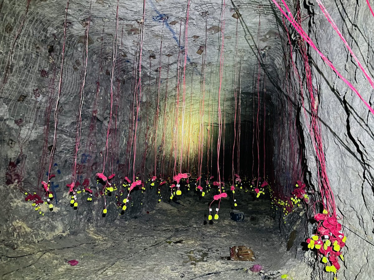 AustinPowderCo's tweet photo. Breaking Barriers Underground With 72,600 Tonnes Blasted from the Surface

Big moment underground when Austin Powder and Nyrstar successfully fired a historic surface-initiated underground blast, safely breaking 72,600+ tonnes from Immel Mine’s Stope 25 77 W,  with zero personnel underground. 

Using the E*STAR CUBE centralized blasting system, the team remotely verified and fired 1,350 electronic detonators from the surface, delivering millisecond-accurate timing, full digital traceability, and unmatched control for one of the largest stope blasts executed this way. 

The result? Improved safety, reduced misfire risk, precise fragmentation, and a complete digital audit trail — proving that large-scale underground blasting can be safer, smarter, and fully connected. This milestone marks the next chapter in a six-year partnership built on trust, innovation, and the pursuit of what’s possible underground. Read the full Benefit Study at this link. 

https://t.co/wQCtLbF9ml