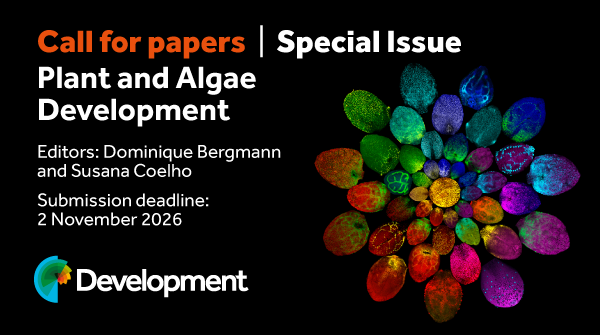Dev_journal's tweet photo. Call for Papers 

Submit your latest plant and multicellular algae #DevBio research to our upcoming special issue – Plant and Algae Development #DevSIPlantAlgae

Editors: @stanfordstomata &amp; Susana Coelho 

Deadline: 2 November 2026

https://t.co/cIEkEDBdJA https://t.co/XCqJ9gJgiH