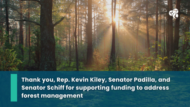 EDWaterAgency's tweet photo. Grateful to @SenAdamSchiff, @SenAlexPadilla and @RepKiley for recognizing forest management is essential to restore forest health, reduce wildfire risks, protect water supplies, and build resilient, fire-adapted landscapes! Read about @RepKiley's support: https://t.co/GKZfvHeWie https://t.co/edUghyq2vL