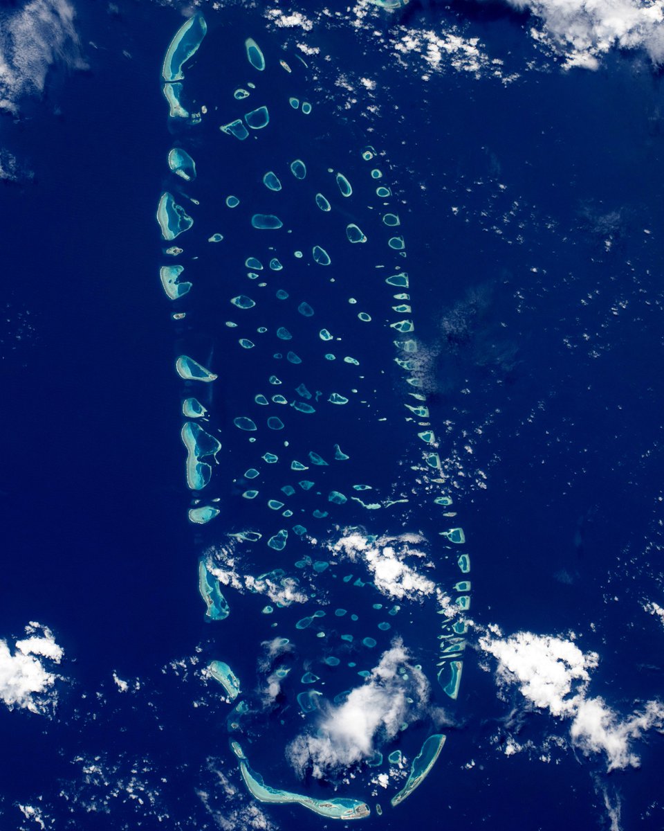 Soph_astro's tweet photo. Day 108, orbit 1675 — Our orbital path regularly takes us over countless breathtaking atolls, appearing like brilliant drops of turquoise scattered across the deep blue of both the Pacific and Indian oceans. These ecosystems, essential to a lot of marine and coastal species, face threats resulting from human activity, particularly the accelerating impacts of climate change, like ocean warming and rising sea levels.
From orbit, it becomes extremely clear that for life to continue thriving, all our planet’s ecosystems must be protected.

📸 @esa / @NASA – S. Adenot
1: Tūpai, French Polynesia 🩵
2: Maupiti, French Polynesia
3: Saint-Brandon, Mauritius (don’t you think it looks like a dolphin? 🐬)
4: Ari Atoll, Maldives

#εpsilon • @esaspaceflight • @Space_Station • @NASAJohnson •