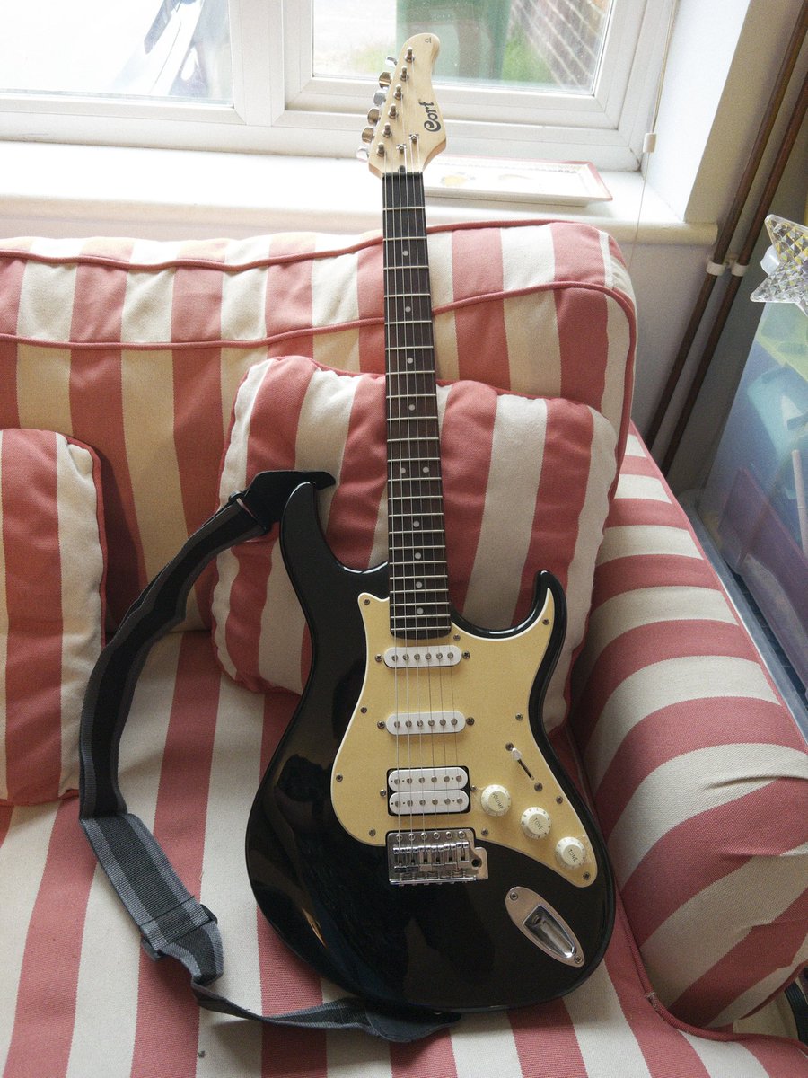 productive_will's tweet photo. Can never have too many guitars, right?

Picked up a new one specifically to learn slide guitar. https://t.co/0REPc5rw19