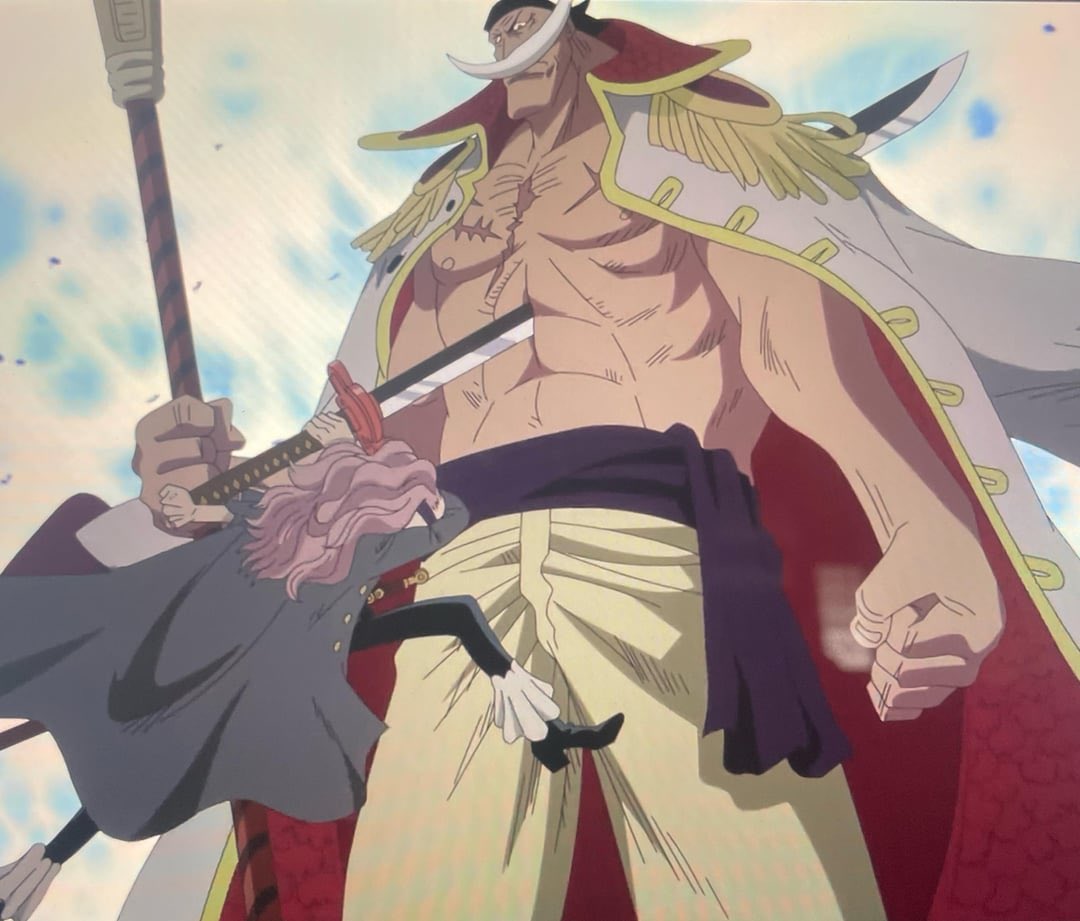 AniManga tweet media